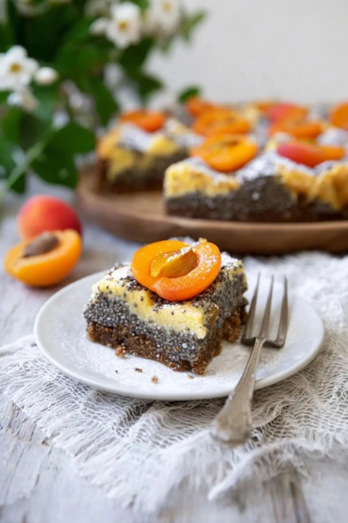 Mohn Topfengitter Kuchen mit Marillen