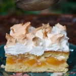 Wachauer Marillenkuchen mit knuspriger Baiserhaube
