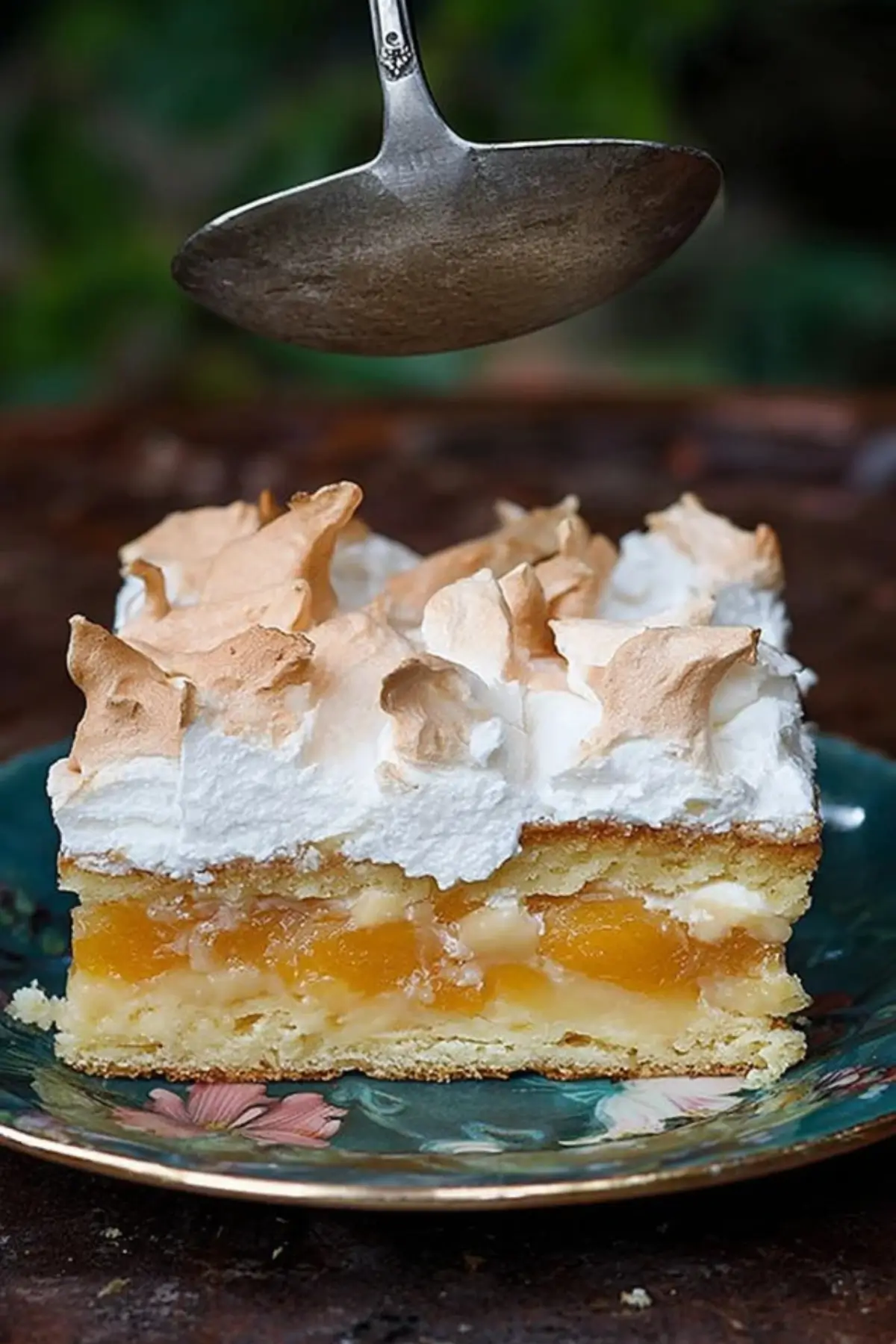 Wachauer Marillenkuchen mit knuspriger Baiserhaube