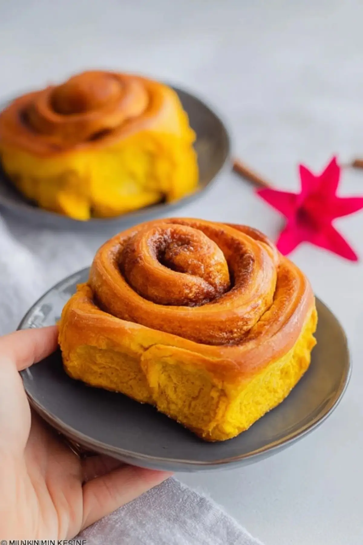 Kürbis-Zimtschnecken