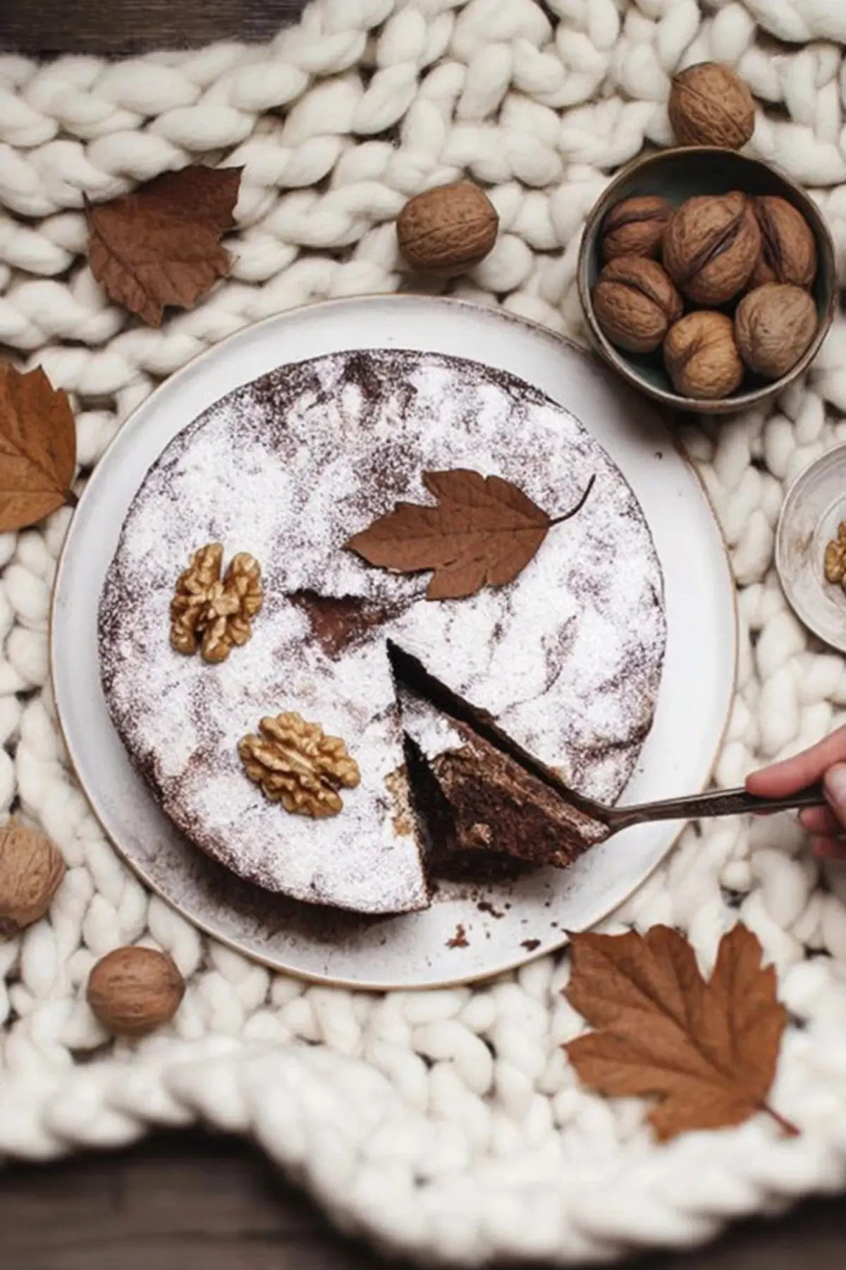 Walnuss-Schokoladen-Kuche