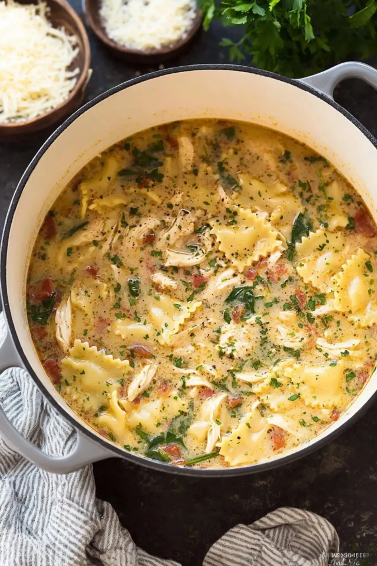 Hähnchen Lasagne Suppe